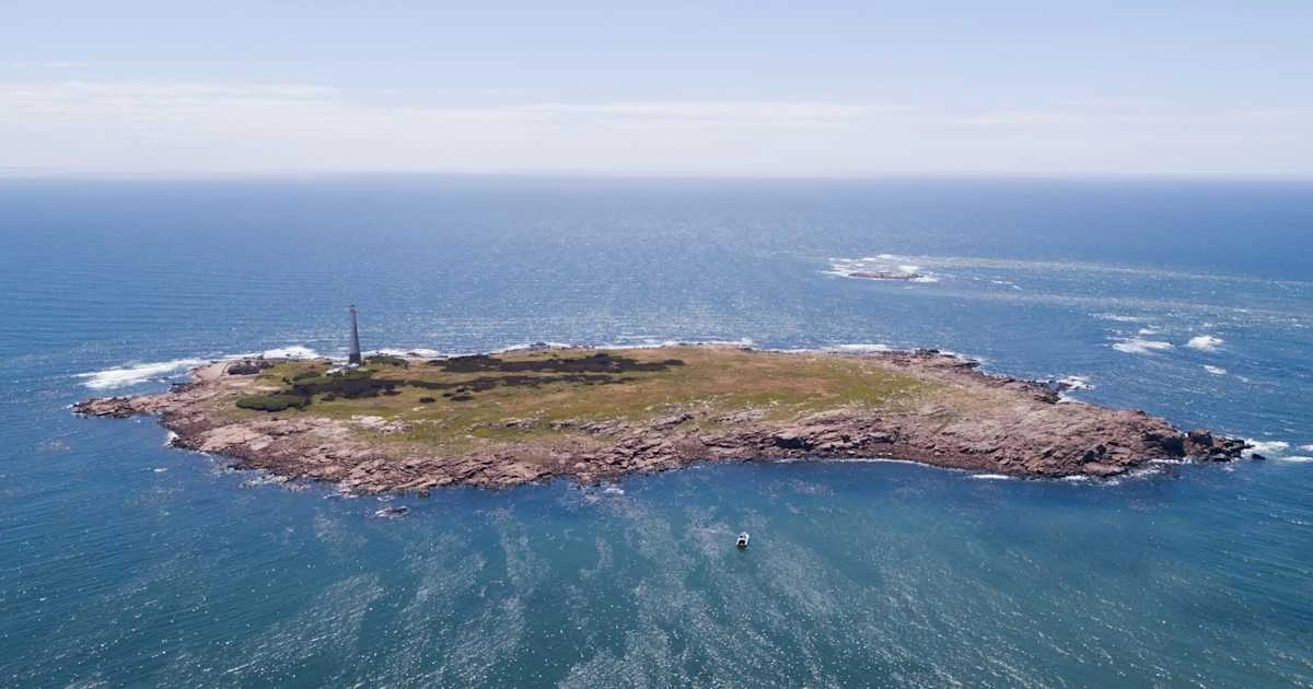 Isla e Islote de Lobos