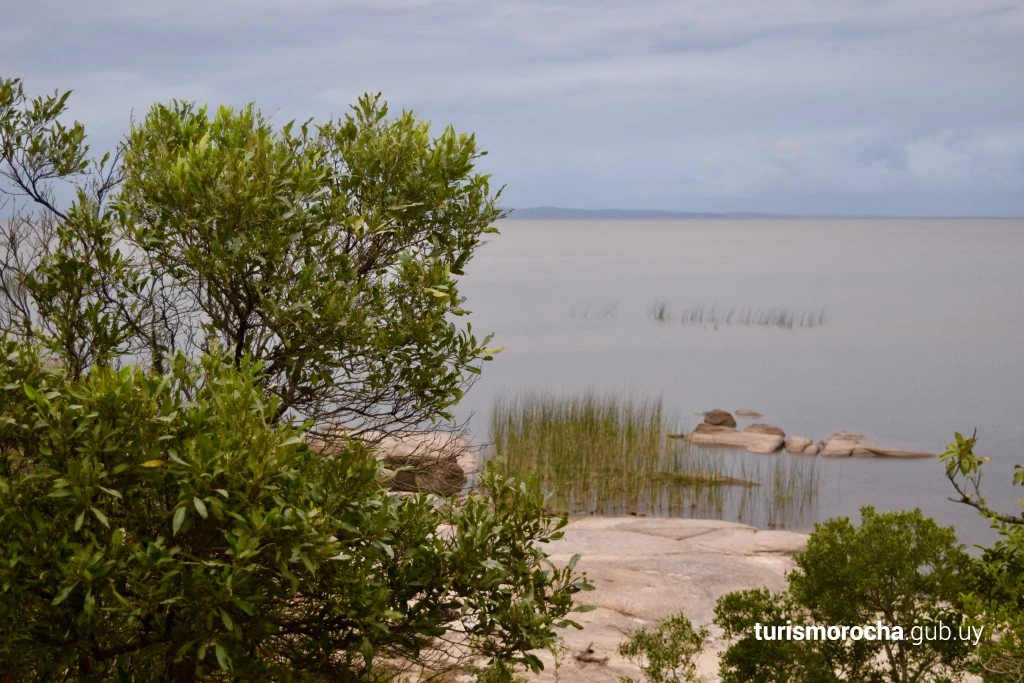 Laguna Negra
