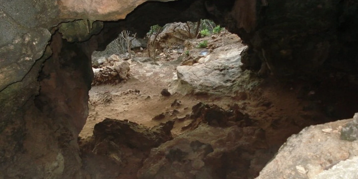 Bat Cave