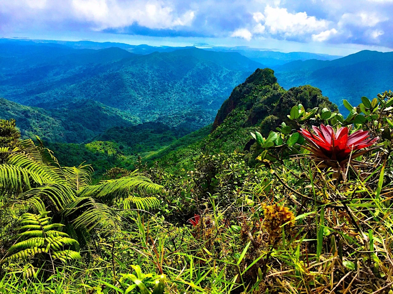 El Yunque
