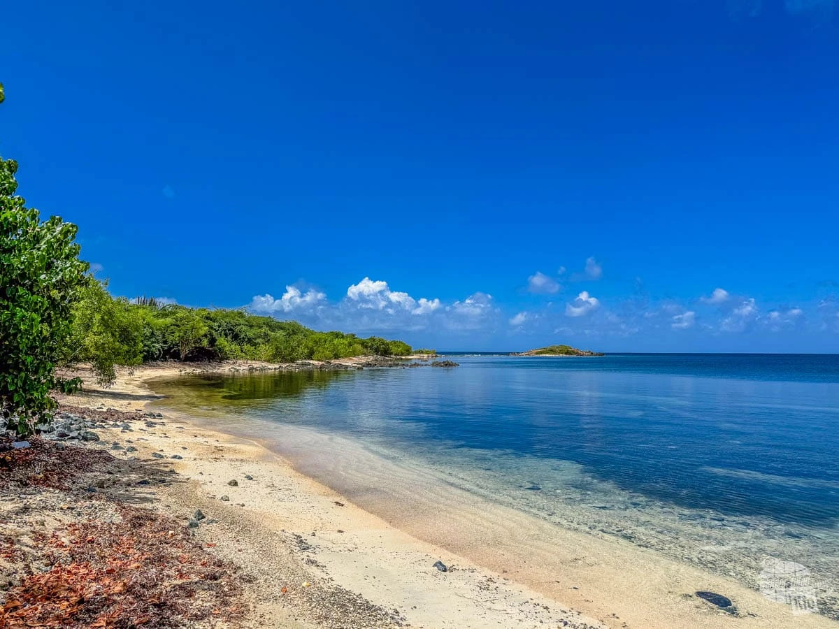 Vieques