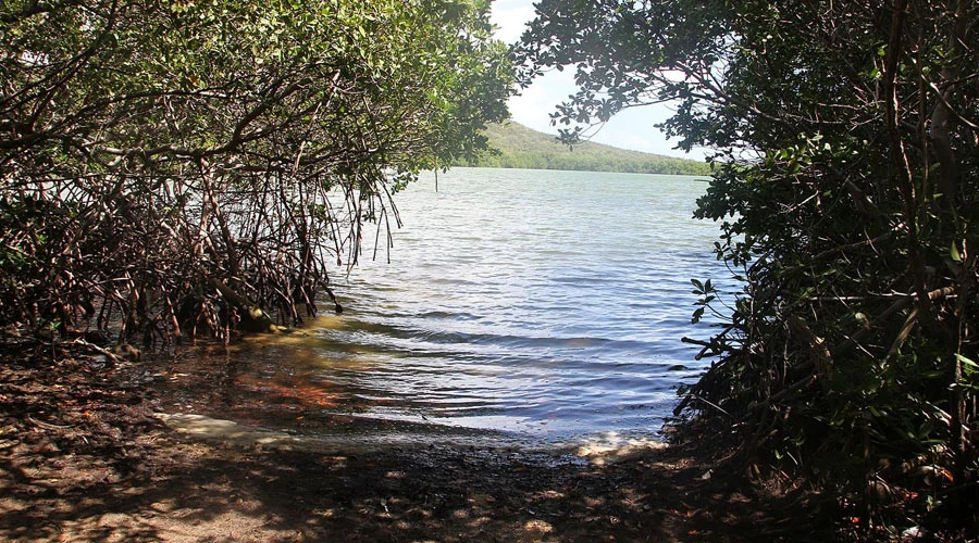 Las Cabezas de San Juan