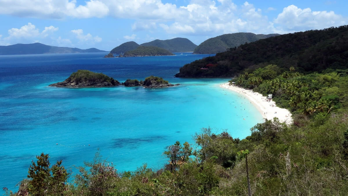 Virgin Islands Coral Reef