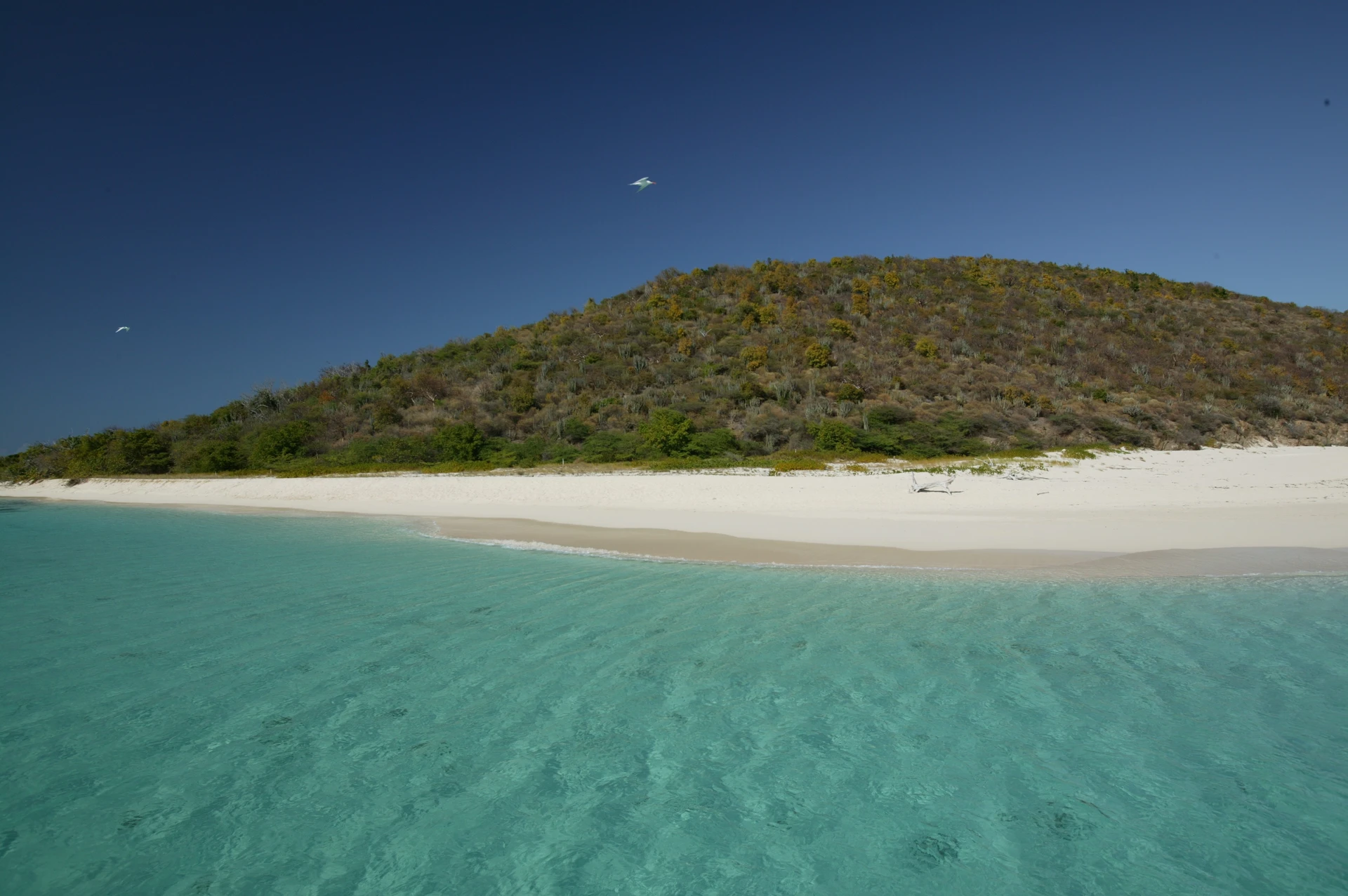 Buck Island Reef