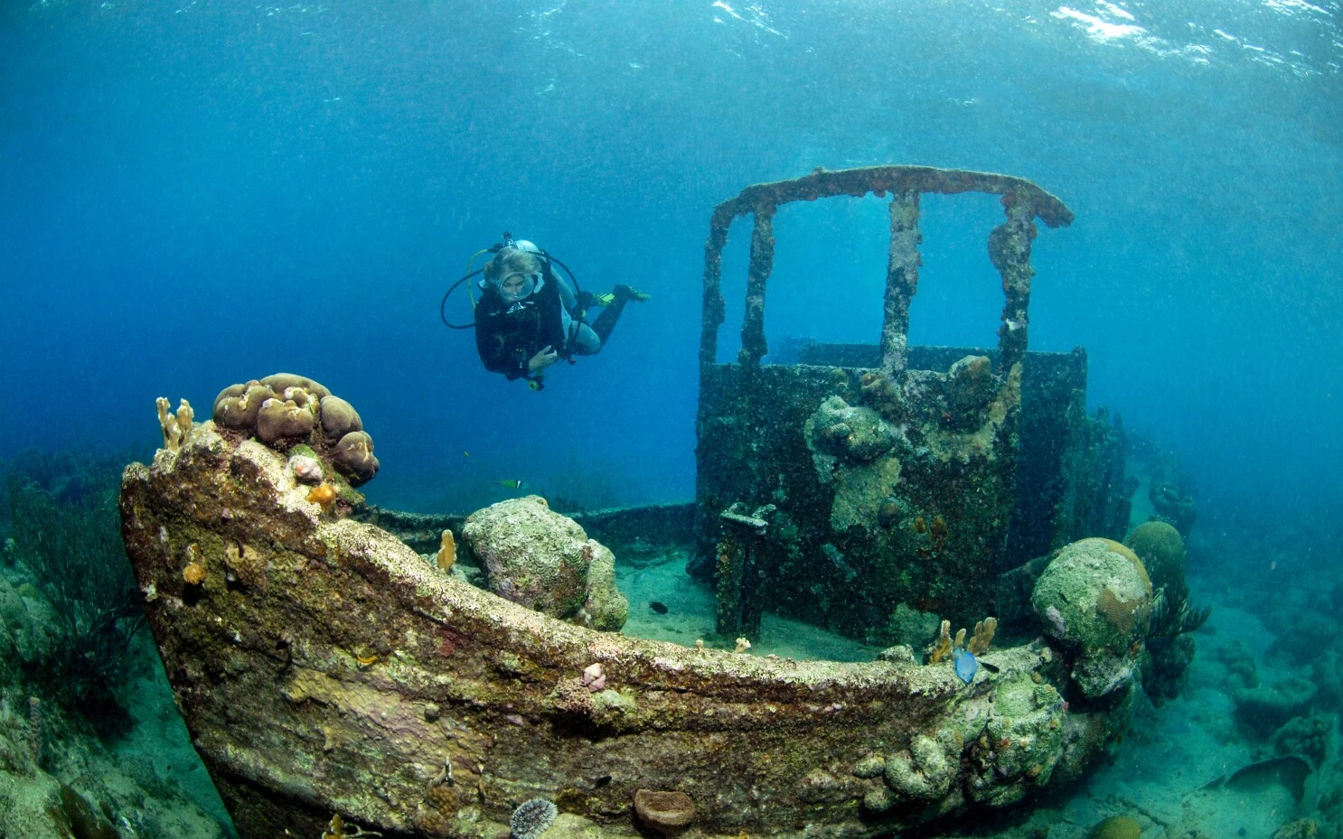 Curacao Underwater
