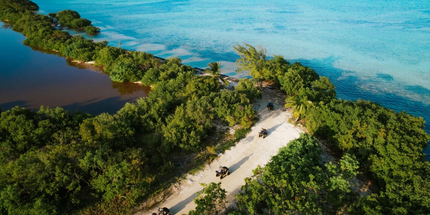 Cayman Brac Parrot Reserve