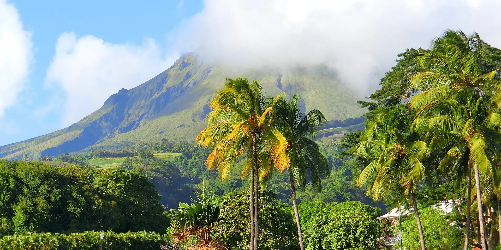 Mount Pelee Biological Reserve