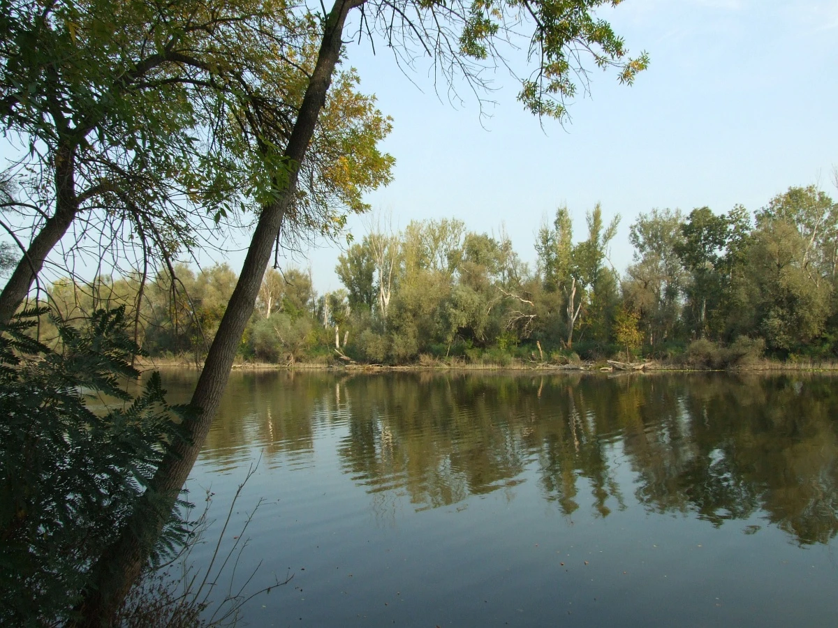 Kiskunság