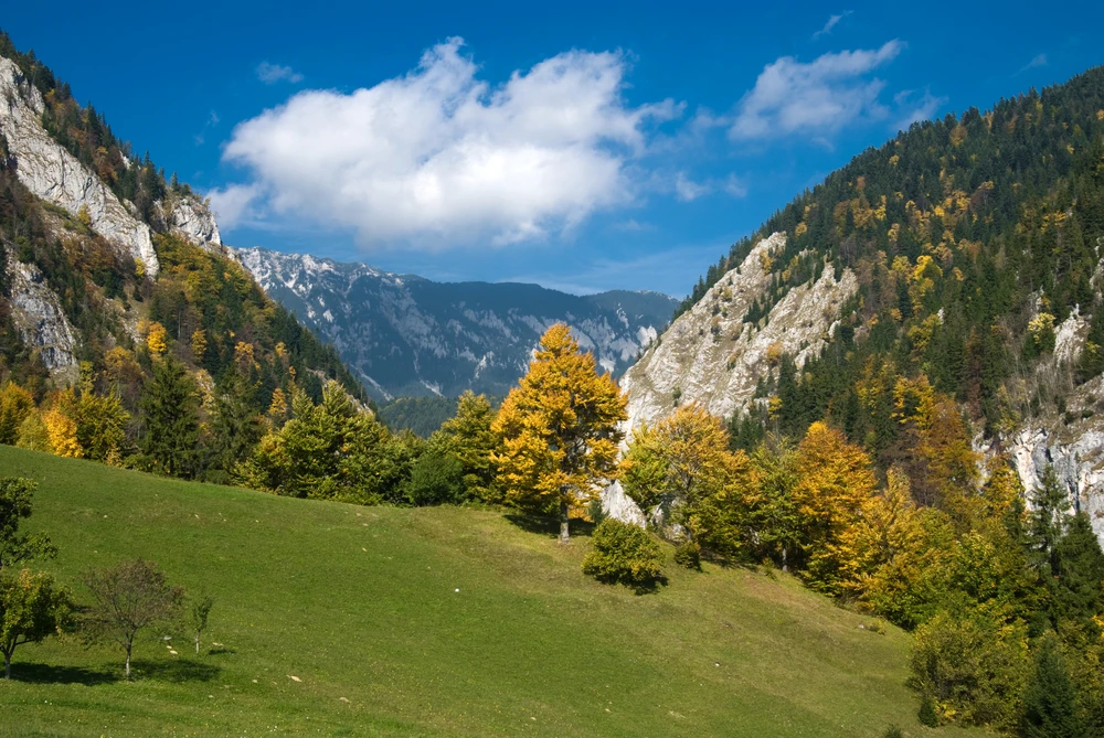 Piatra Craiului
