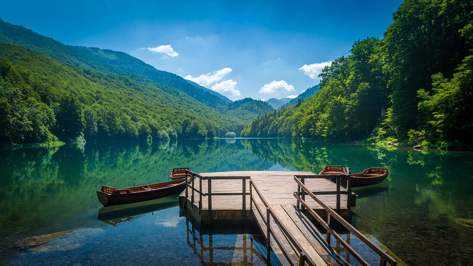 Biogradska Gora