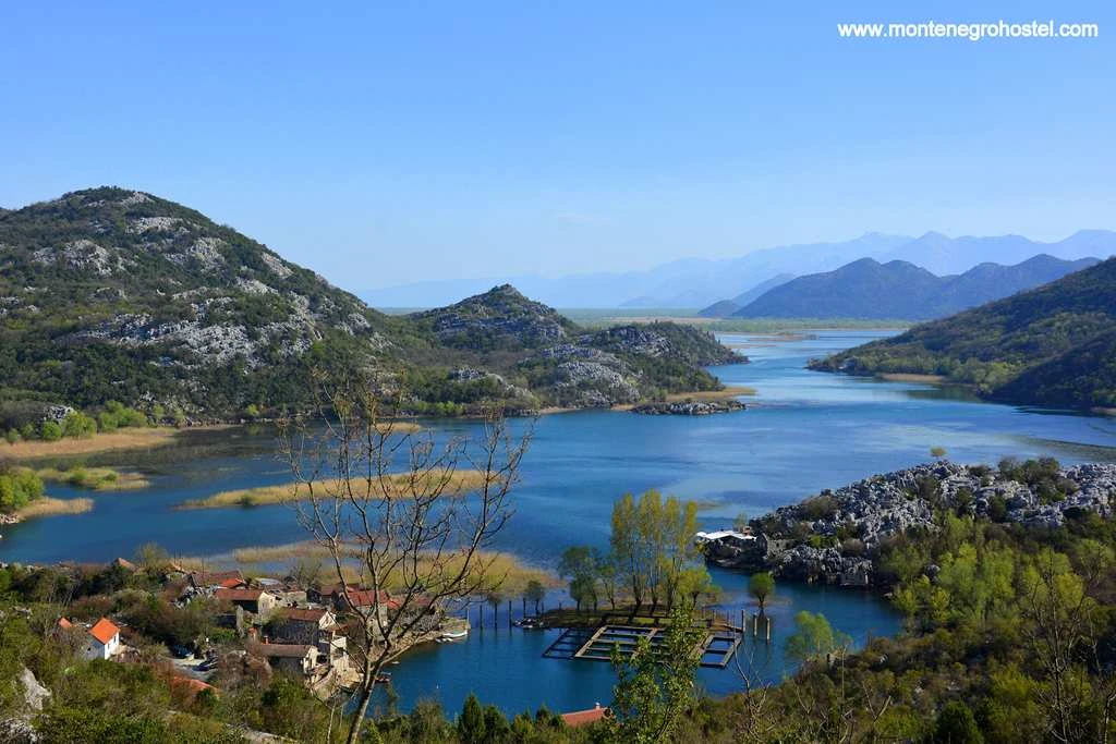 Skadar Lake