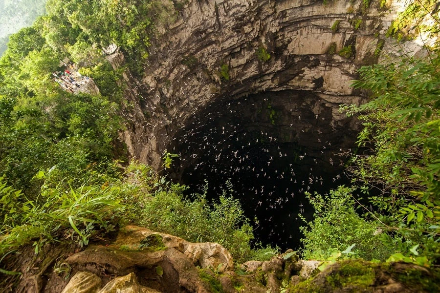 Sótano de las Golondrinas