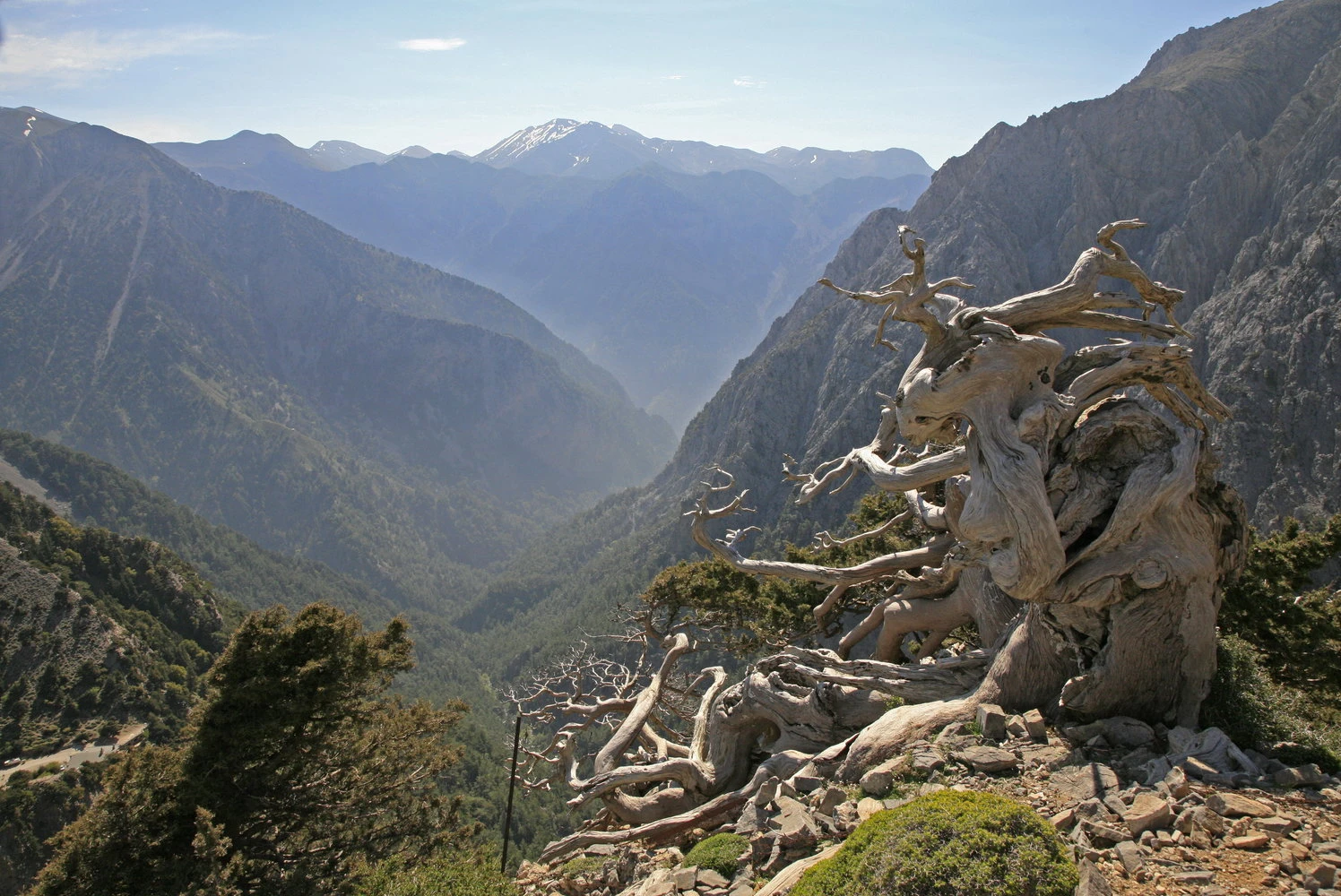 White Mountains