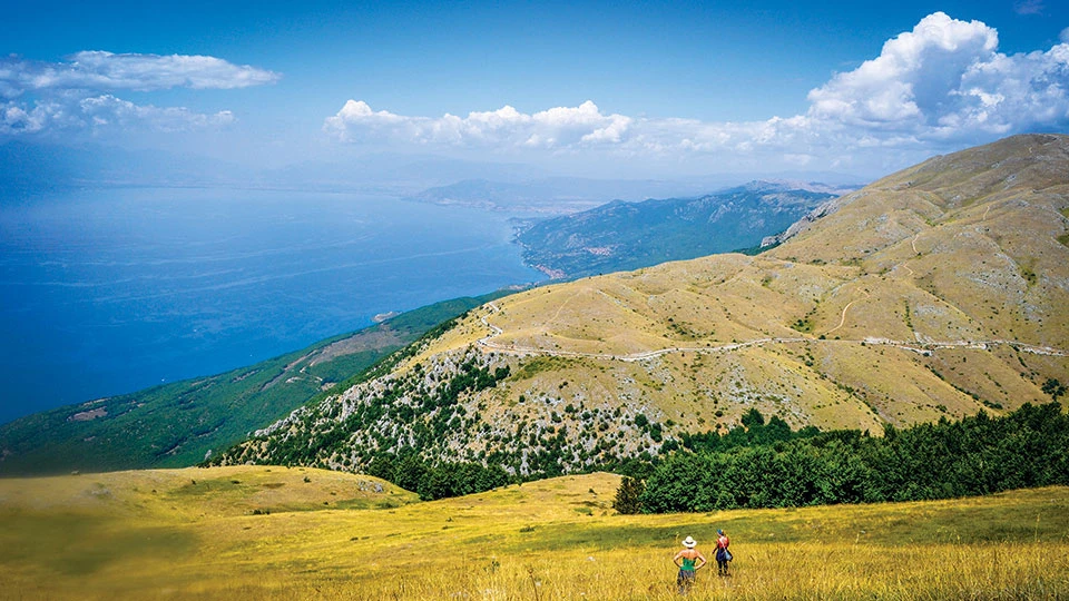 Galicica