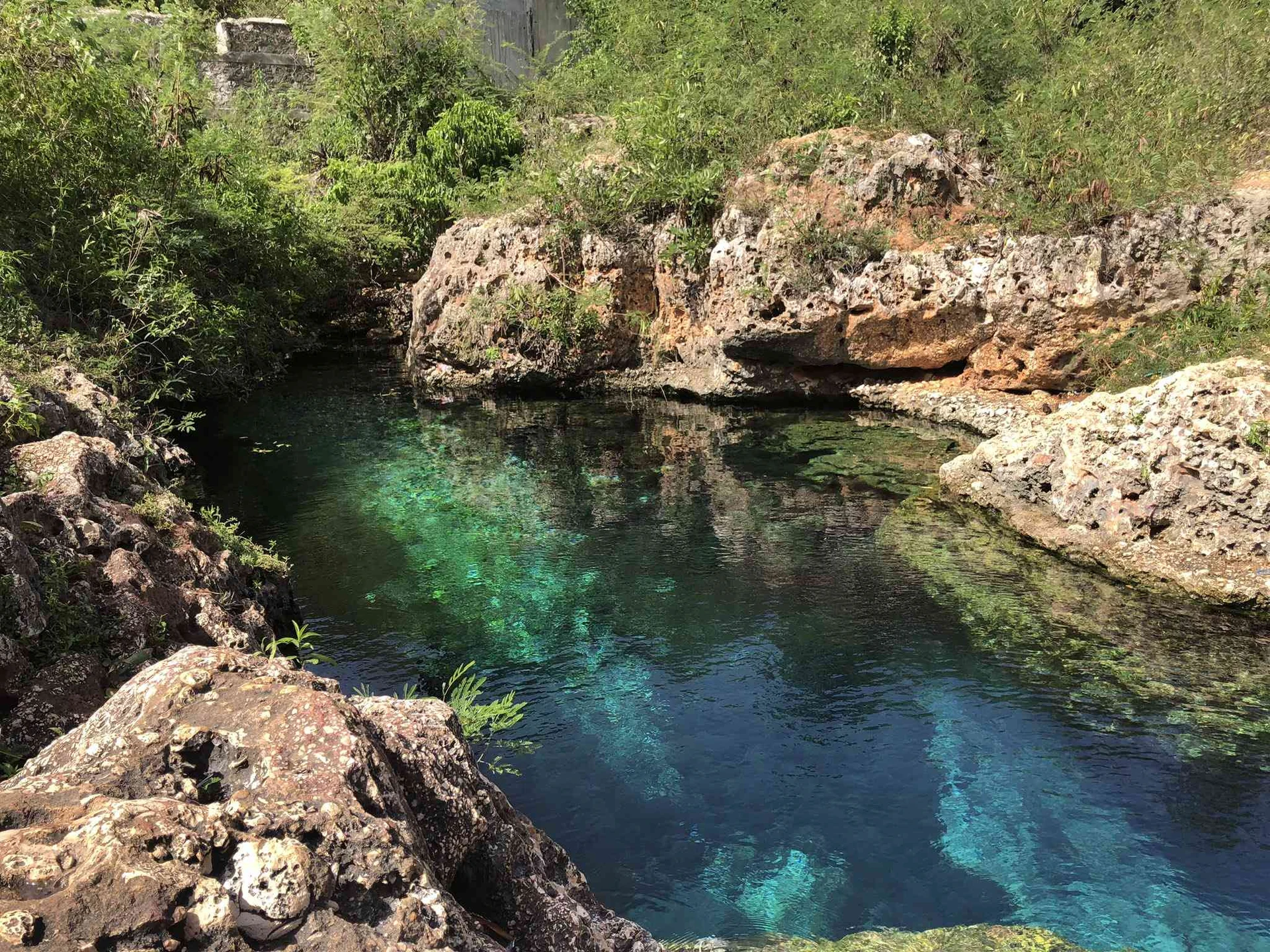 Alligator Pond-Gut River-Canoe Valley