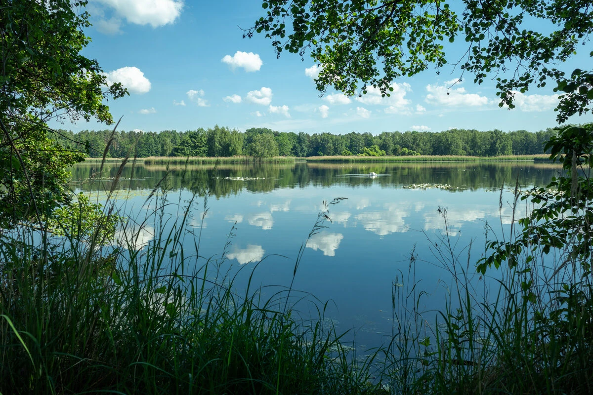 Upper Lusatian Heath and Pond Landscape