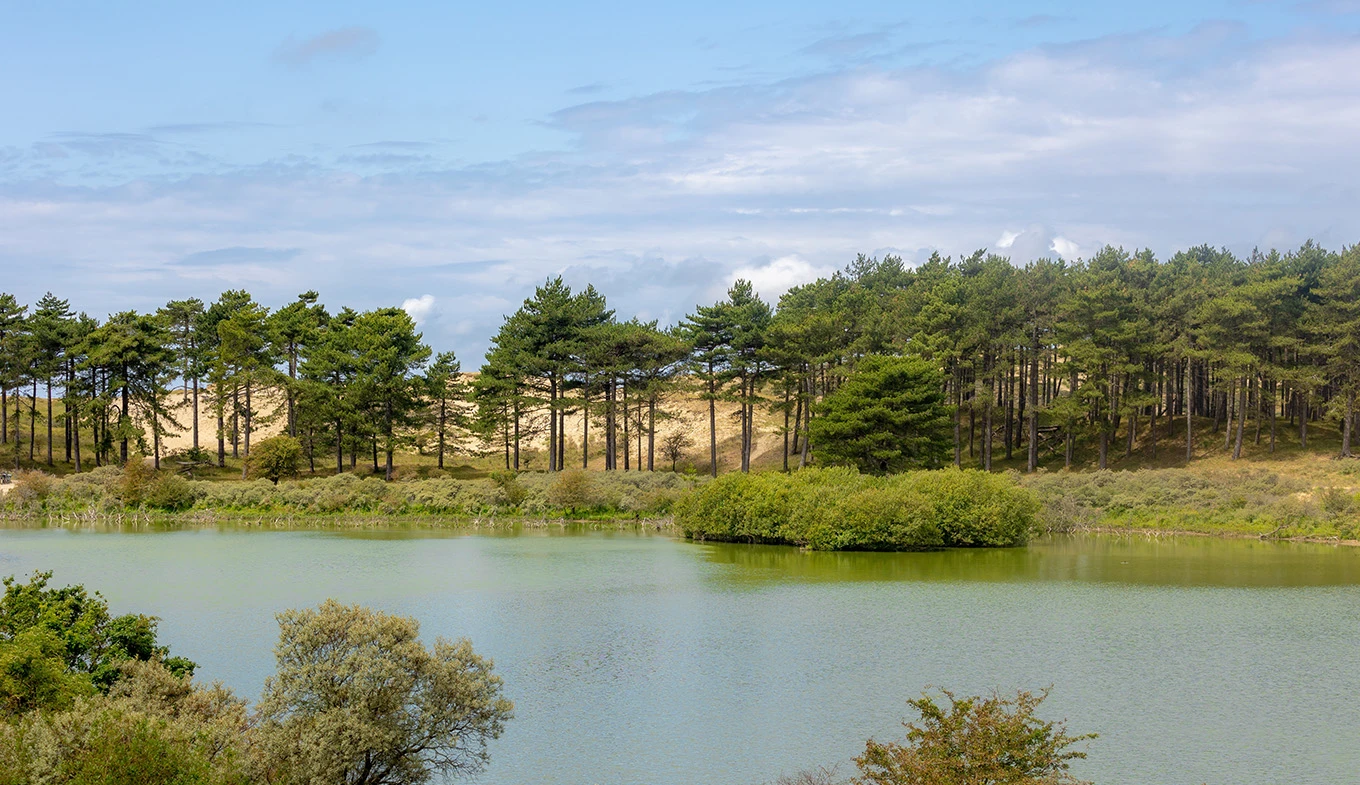 Zuid-Kennemerland