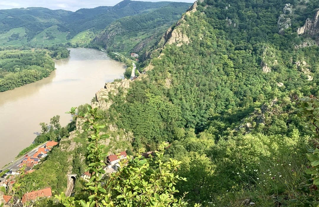 Jauerling-Wachau