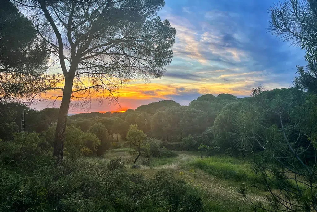 Sierra de Andujar