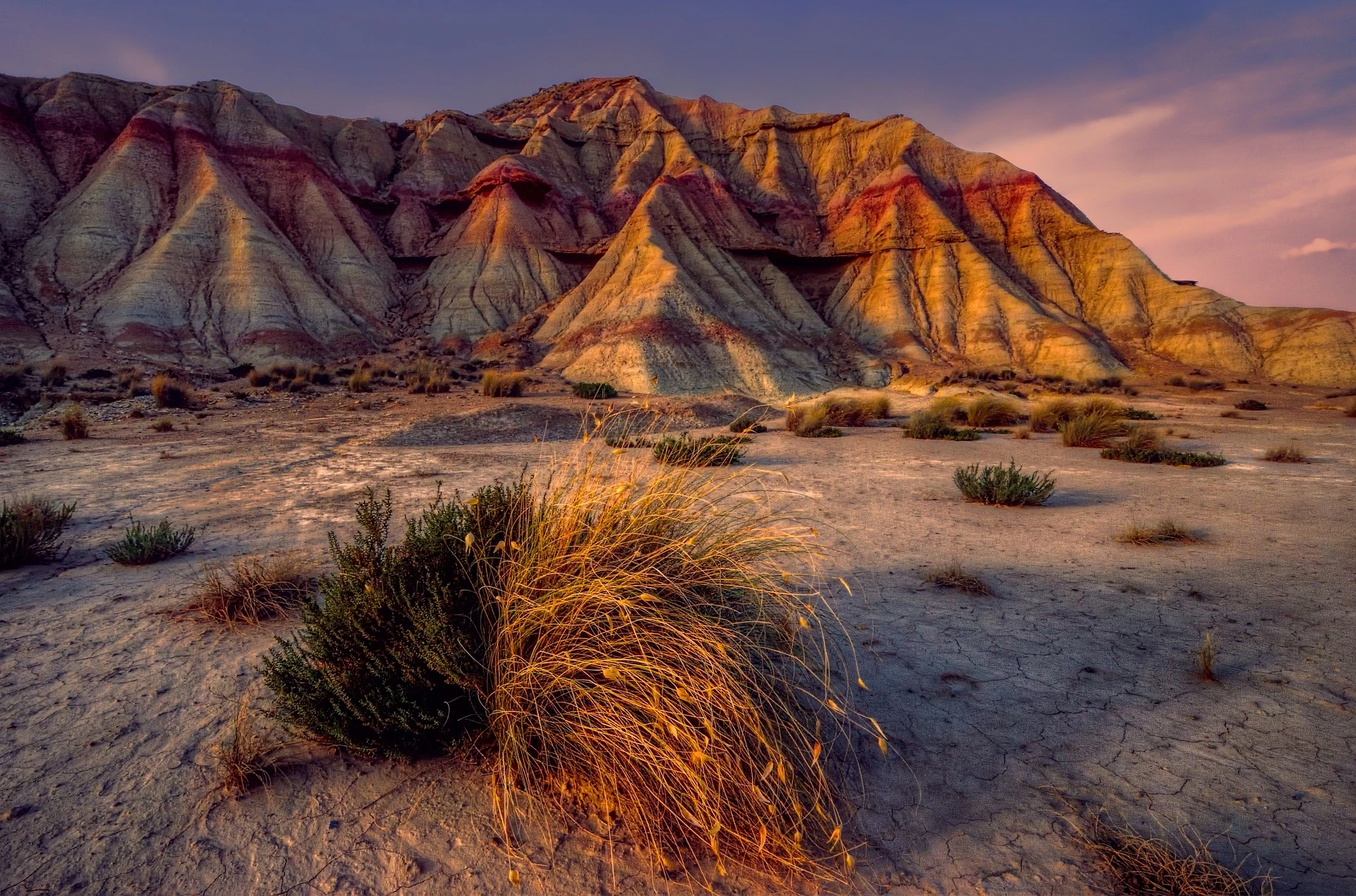 Bardenas Reales