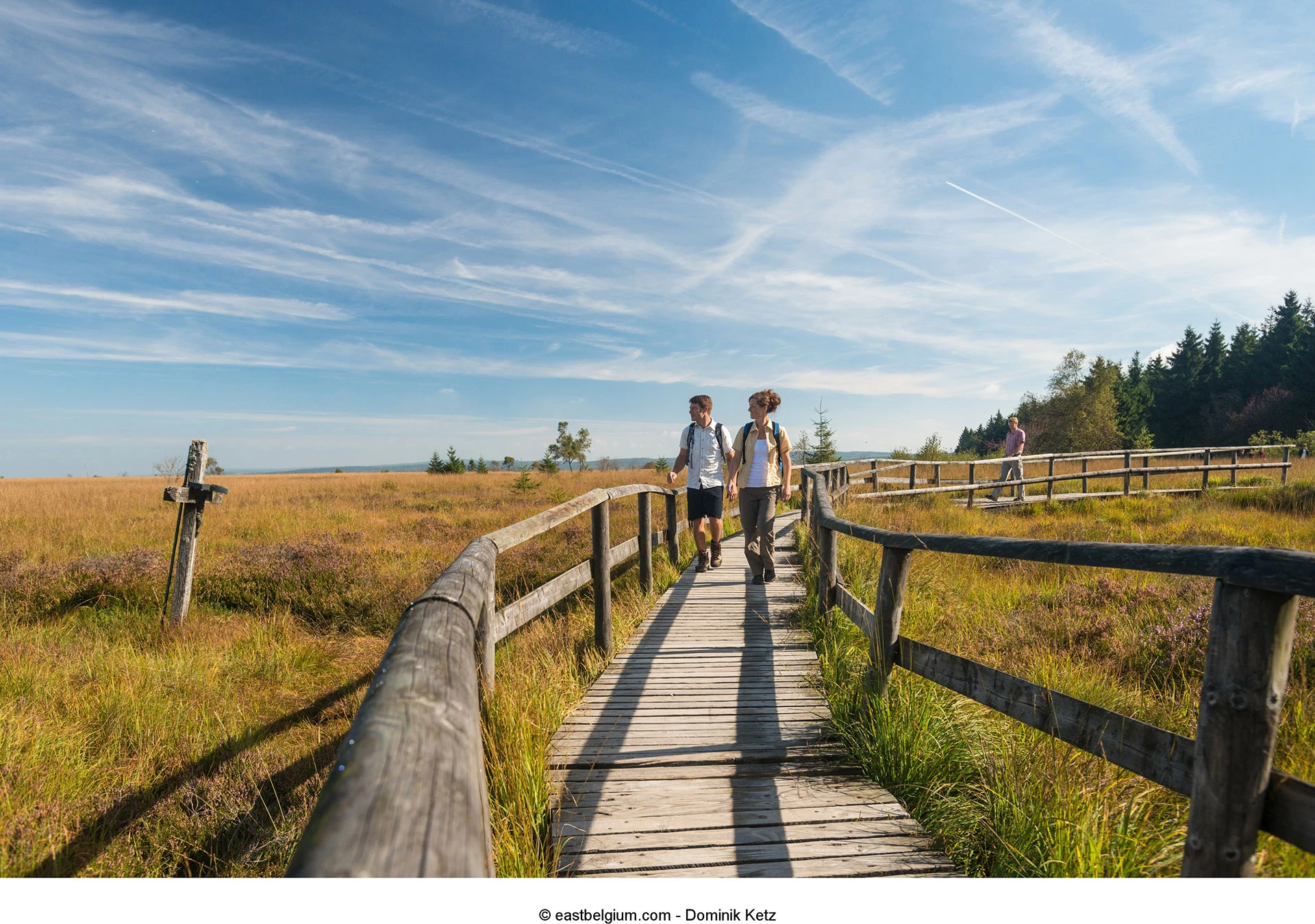 Hautes Fagnes-Eifel