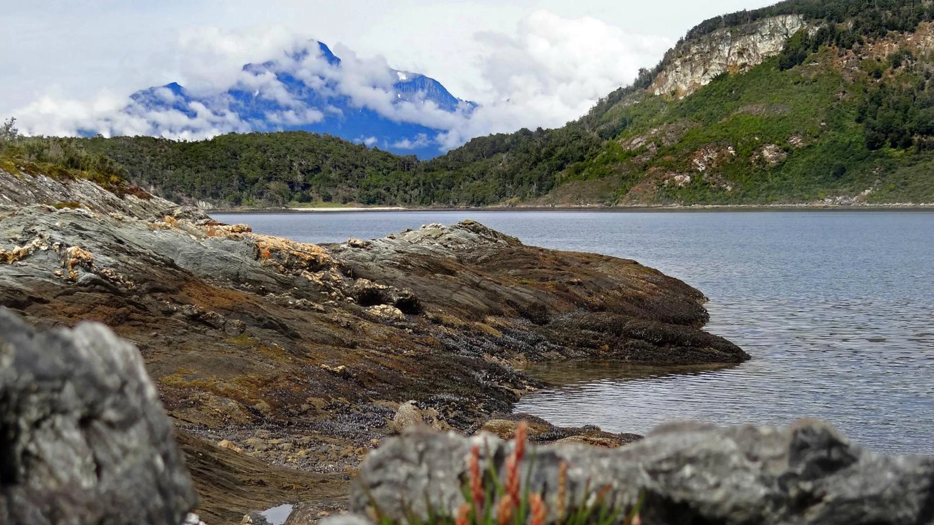 Cape Horn