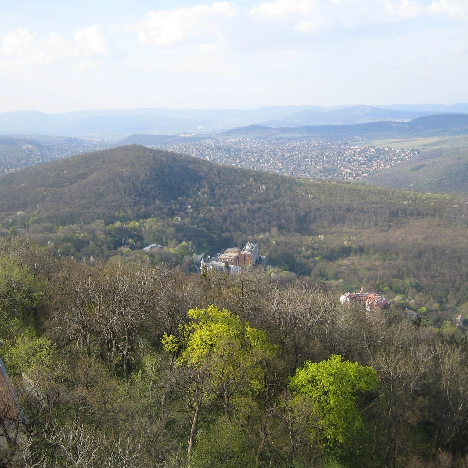 Buda
