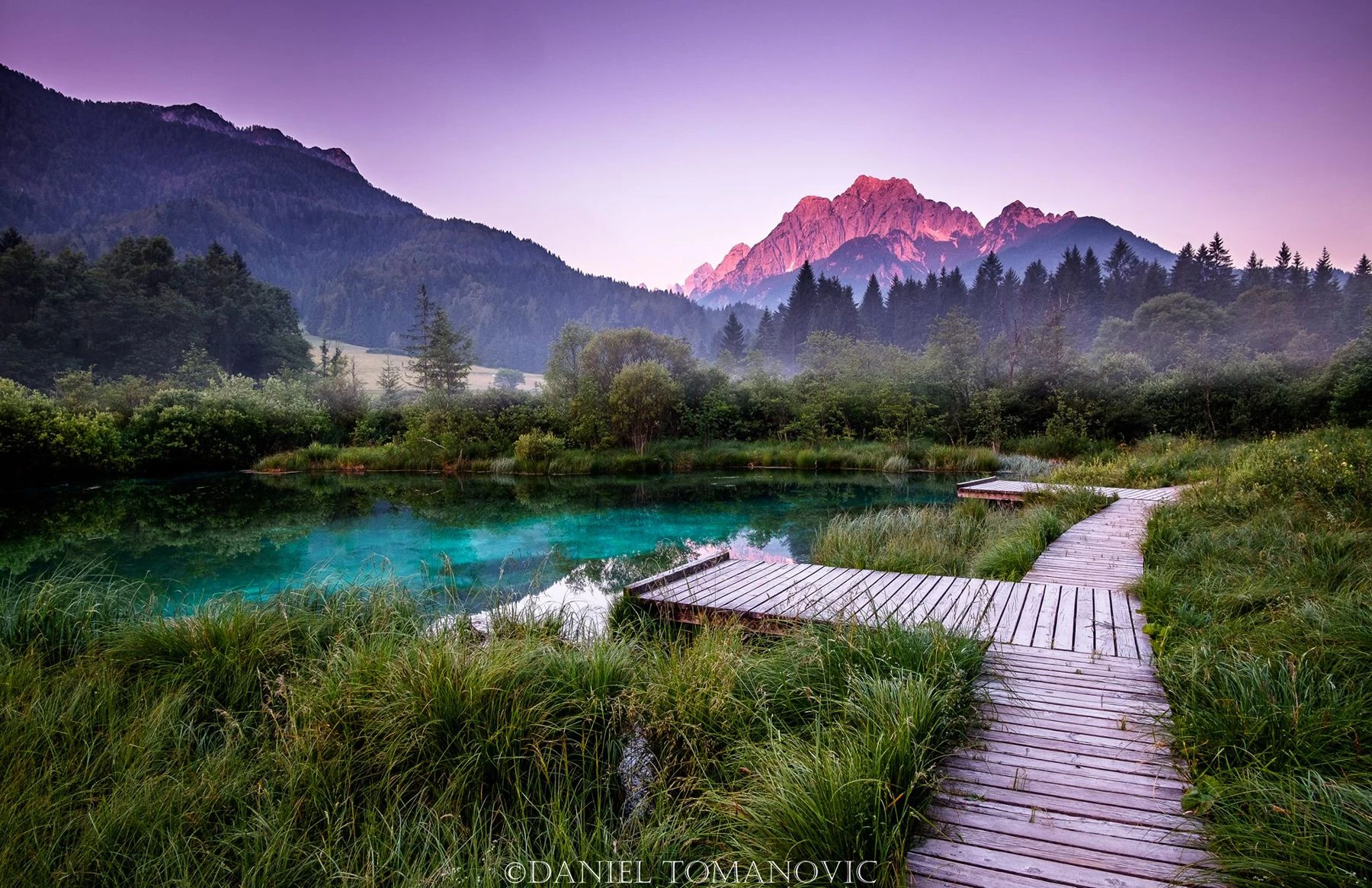 Zelenci
