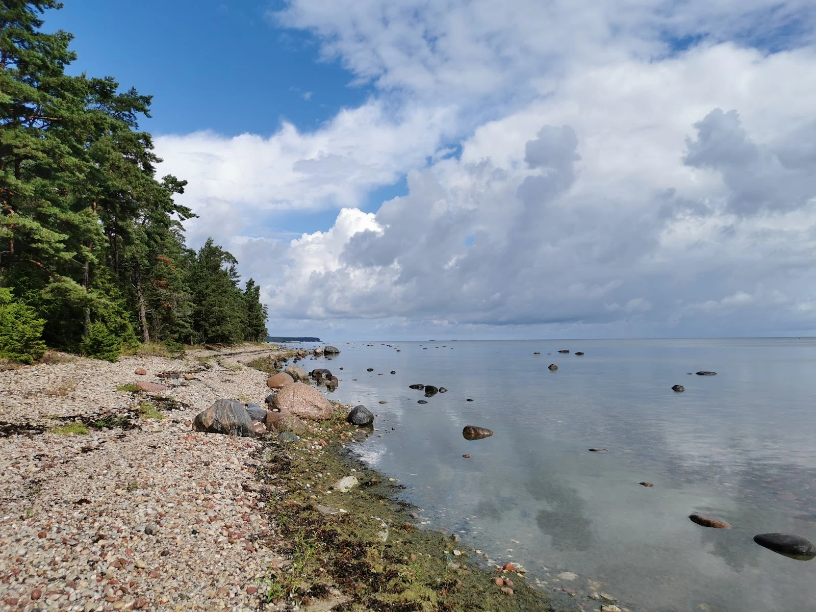 Viidumäe