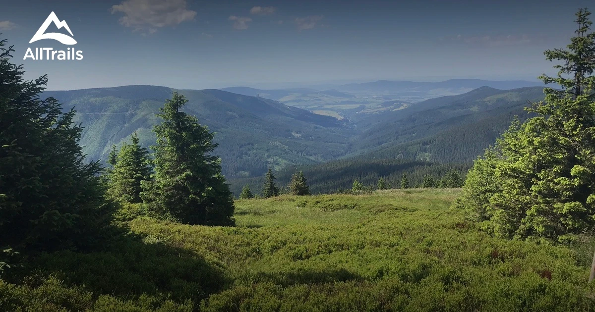 Śnieżnik