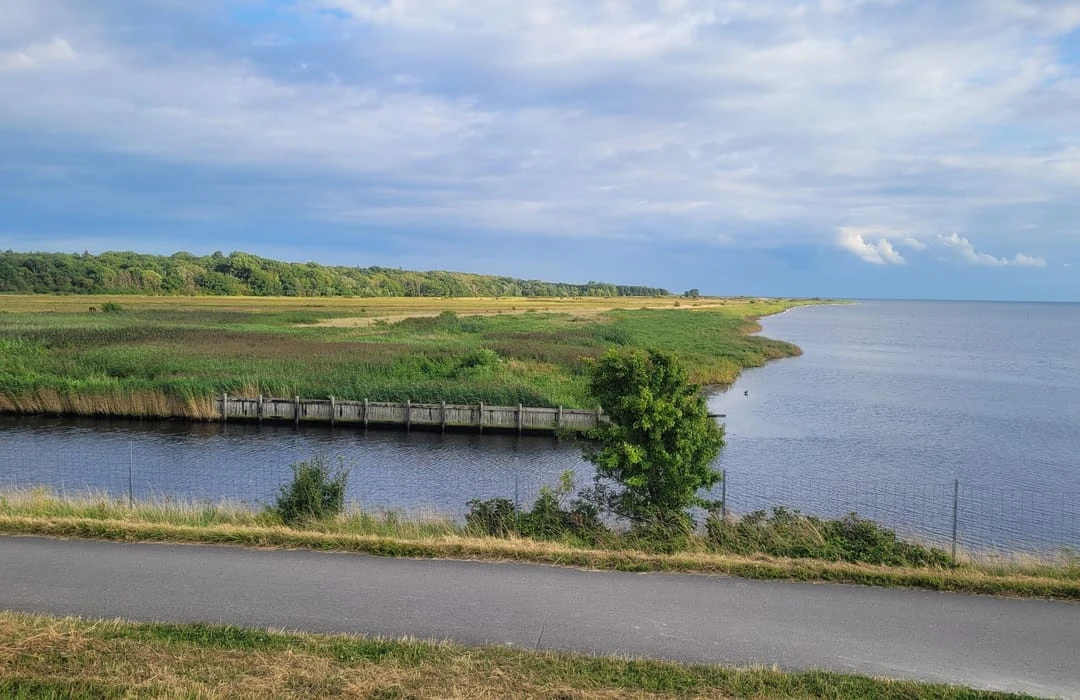 Kalvebod Fælled