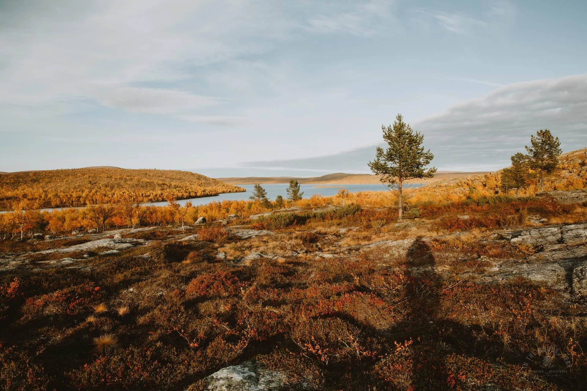 Muotkatunturi