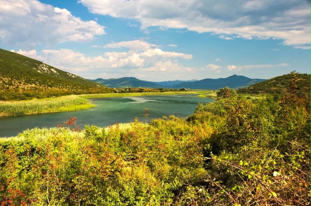Hutovo Blato