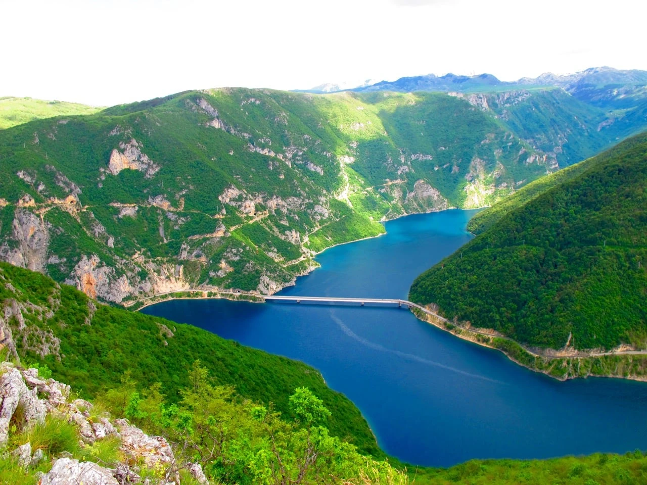 Piva