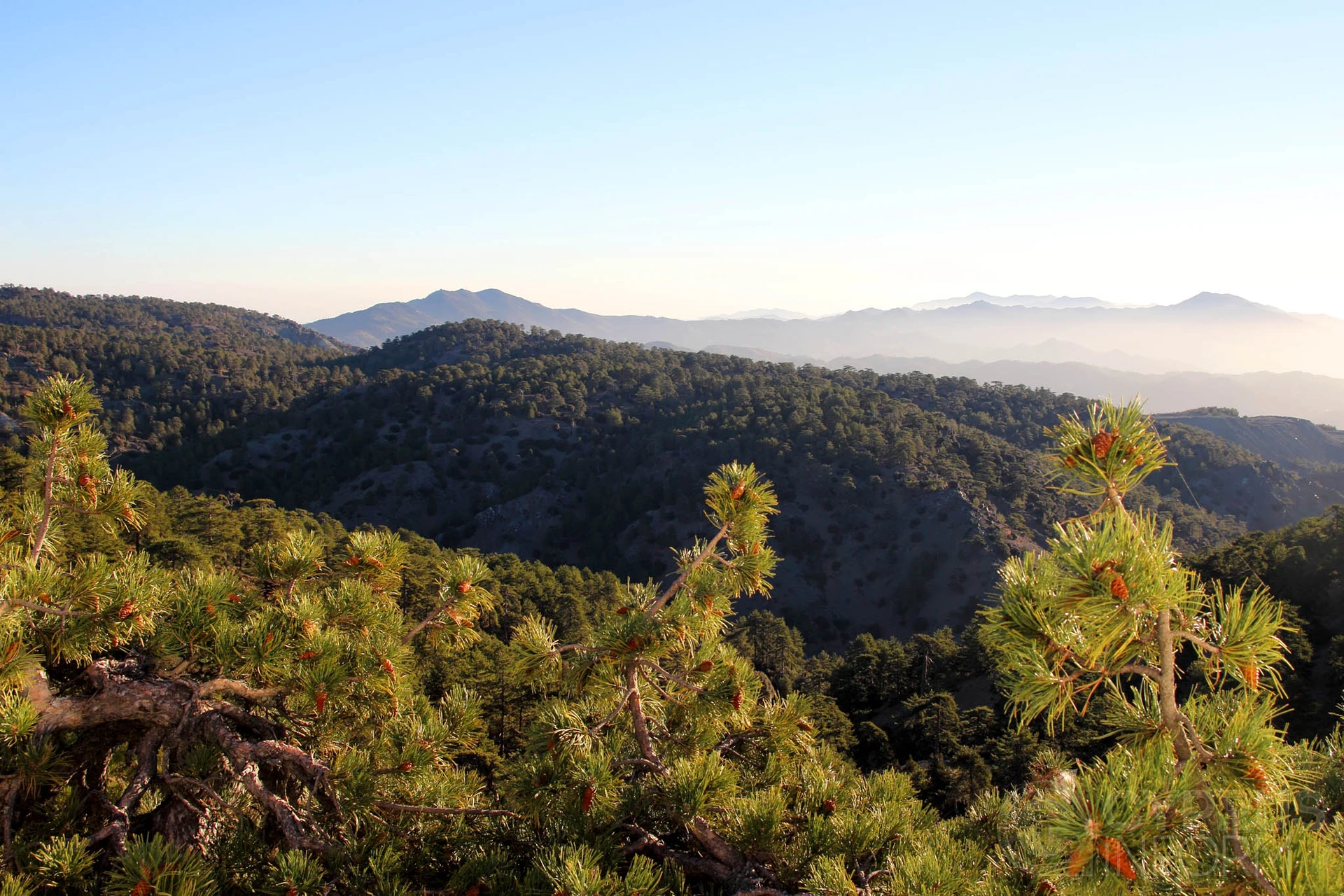 Troodos