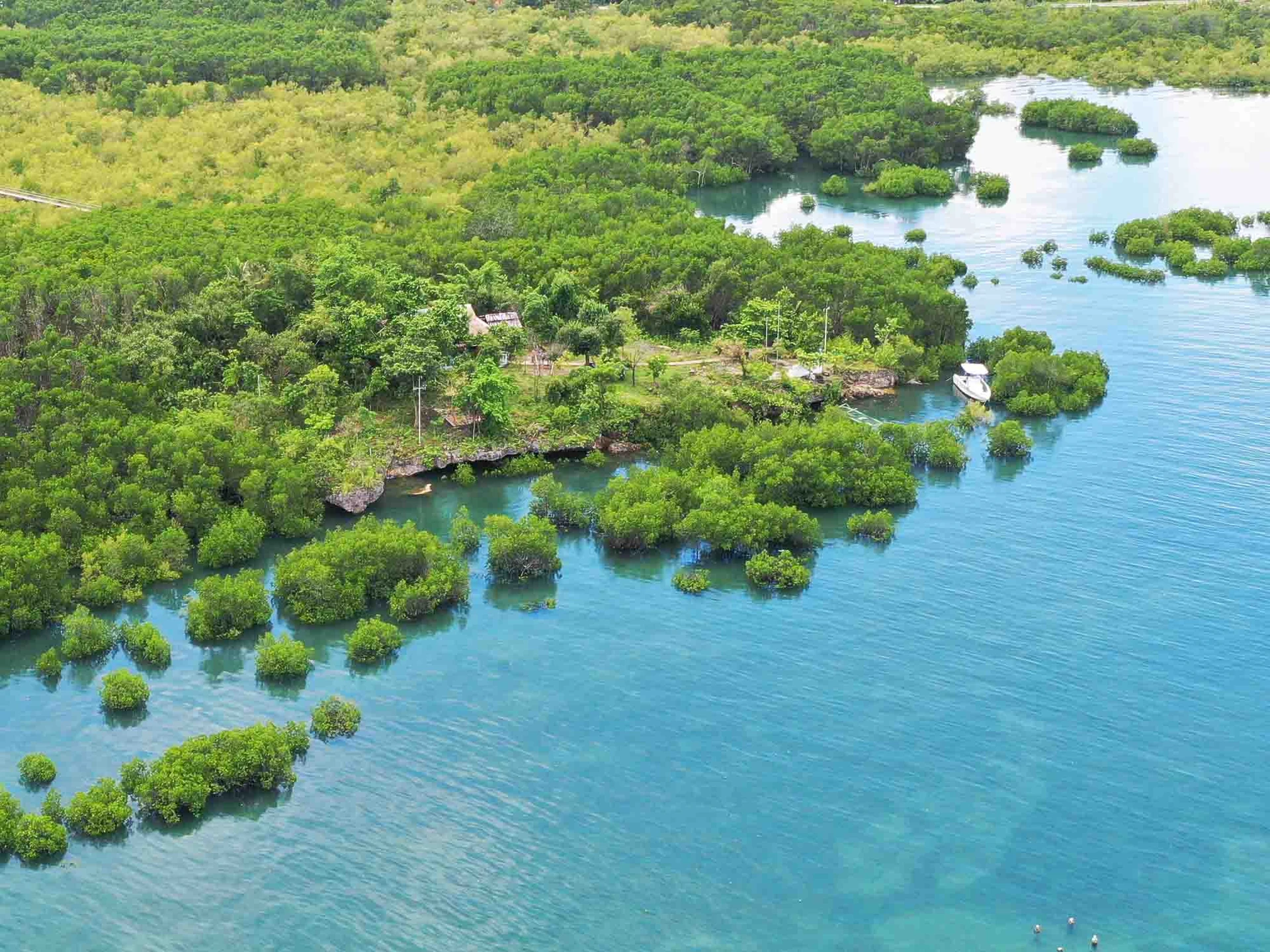 Tañon Strait