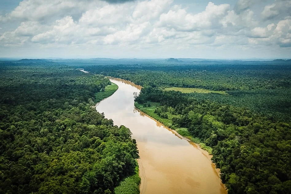 Kinabatangan