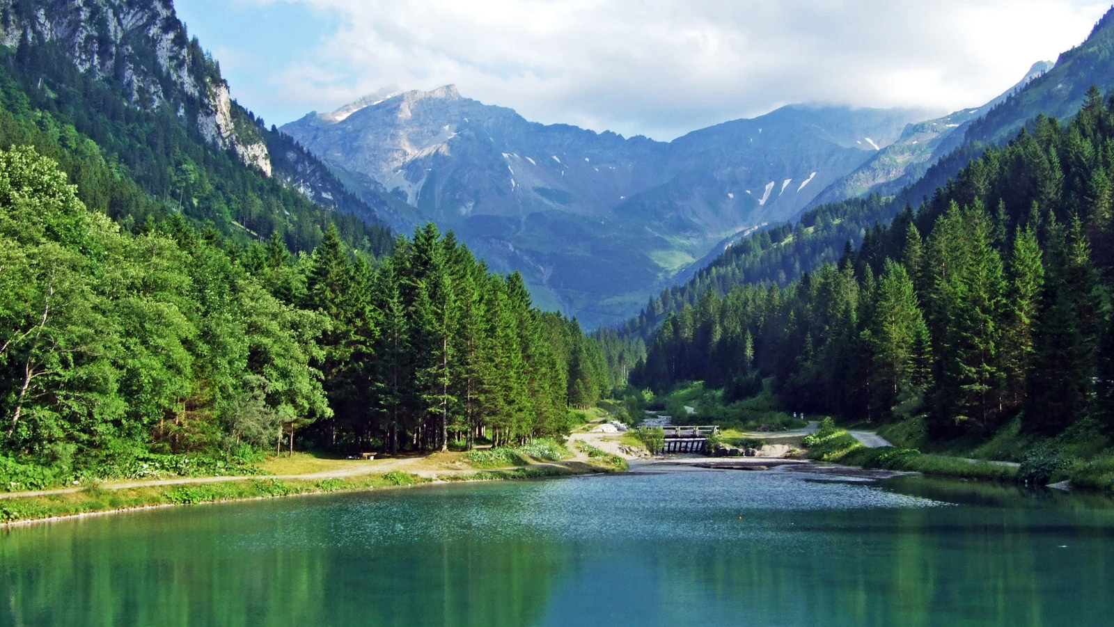 Moggawald-Schwarzwald