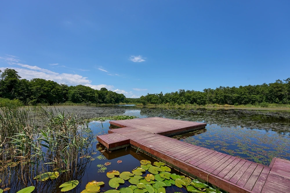 İğneada Floodplain Forests