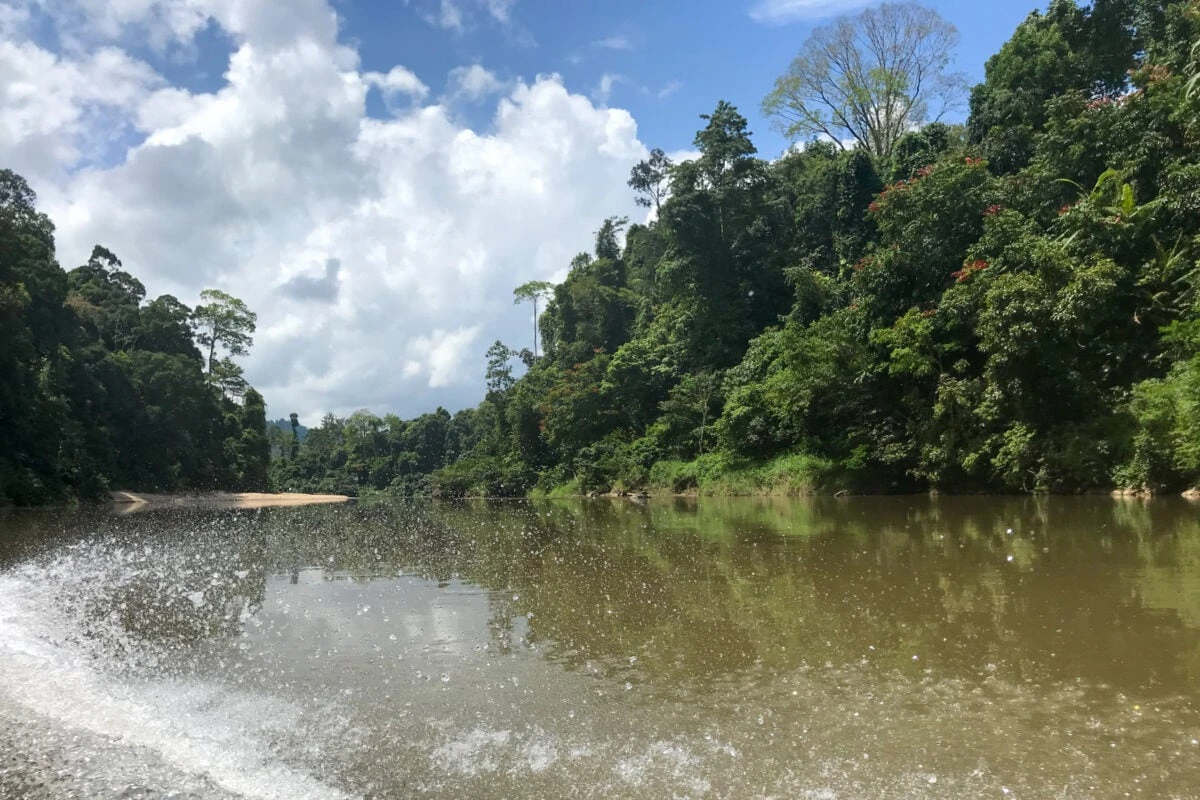 Taman Negara