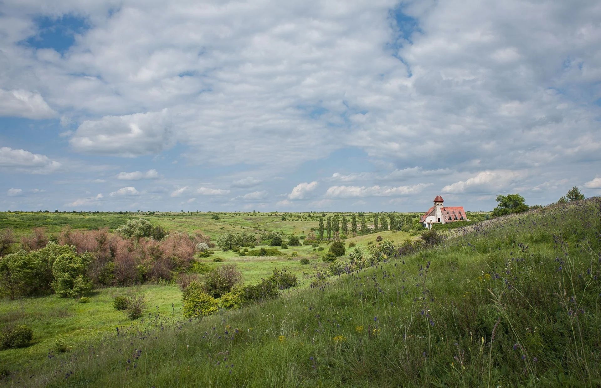 Yelanets Steppe