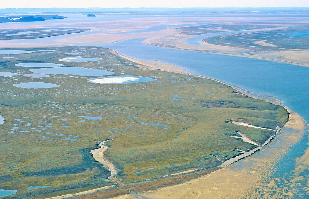 Lena Delta