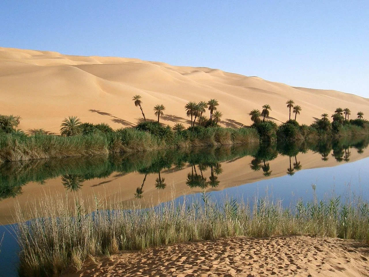El-Naggaza