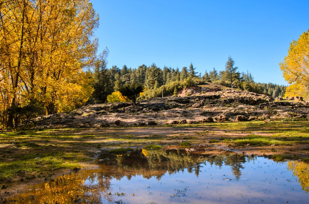 Ifrane