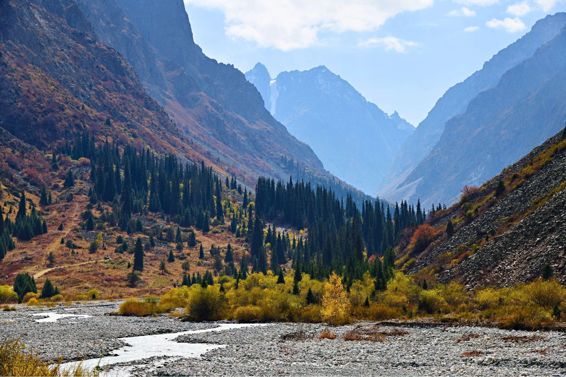 Tajik