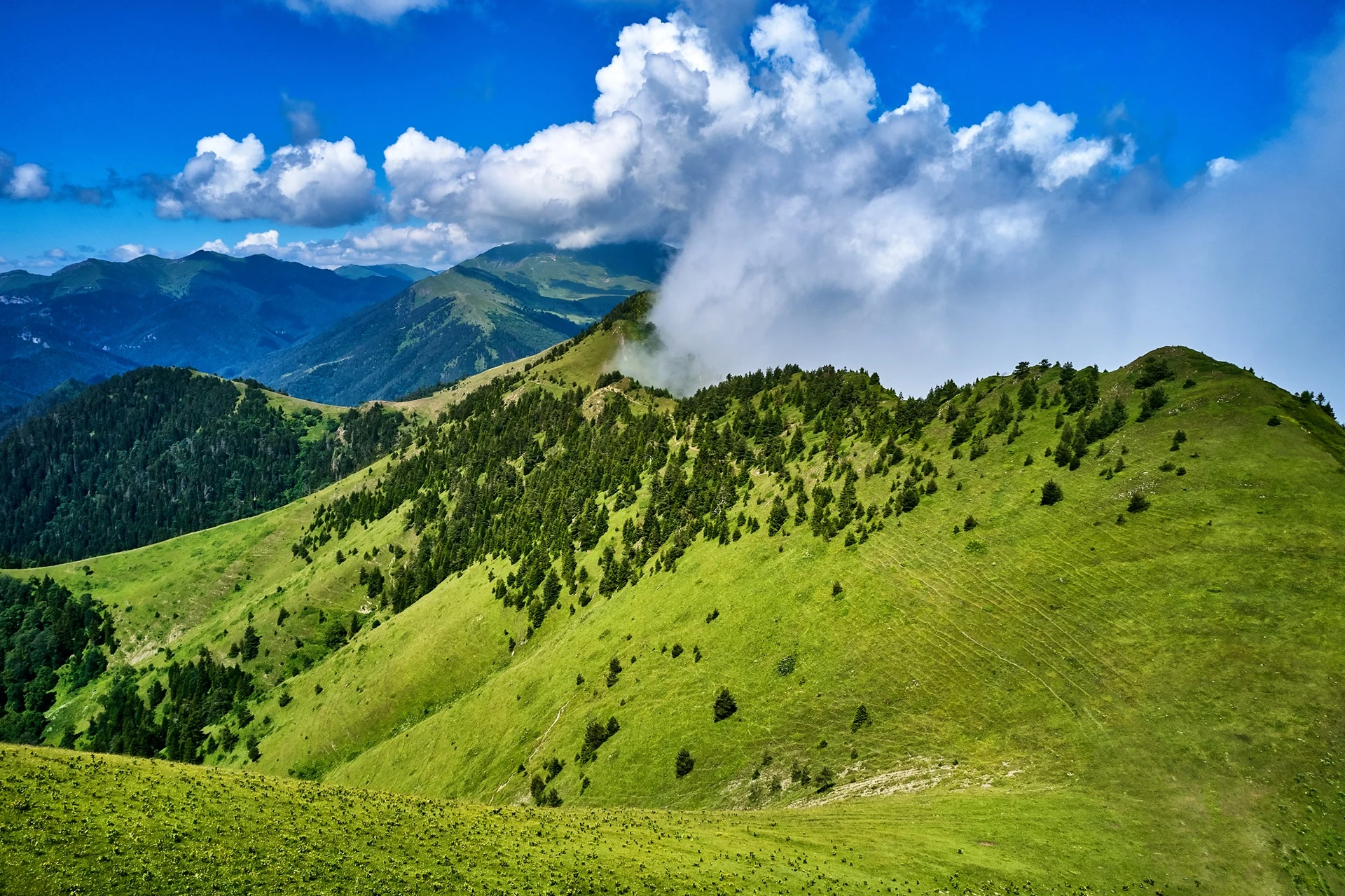Borjomi-Kharagauli