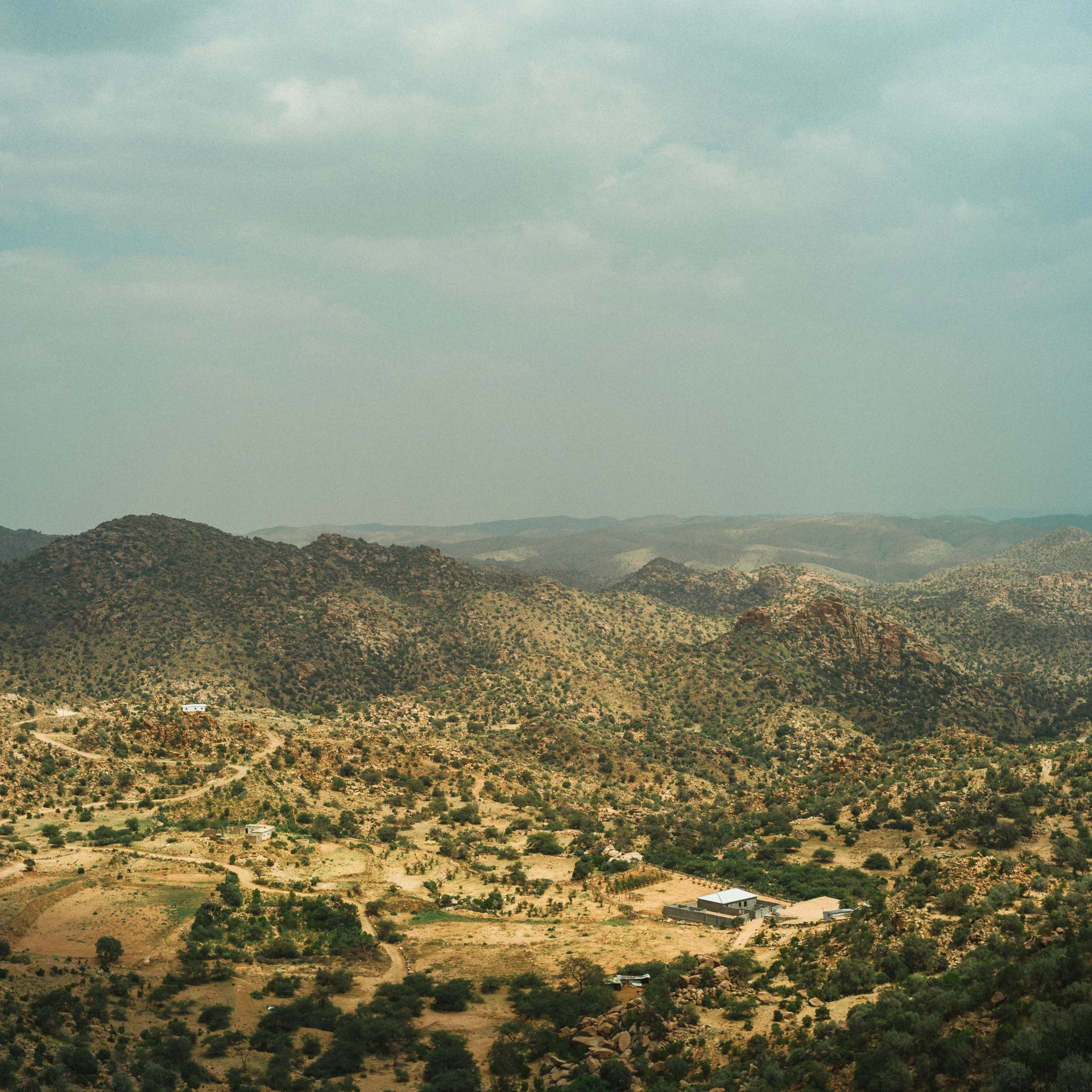 Taif