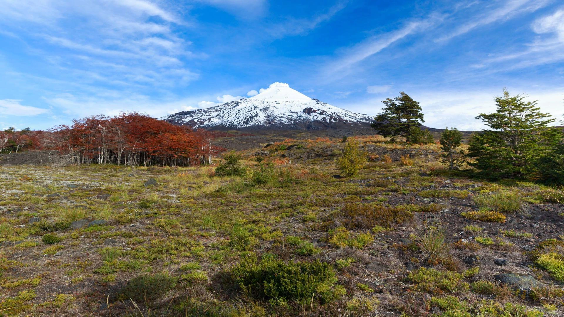 Villarrica