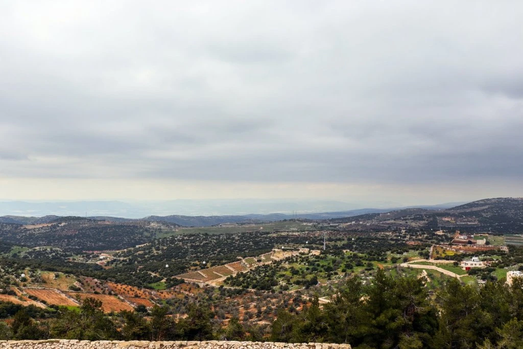 Ajloun Forest