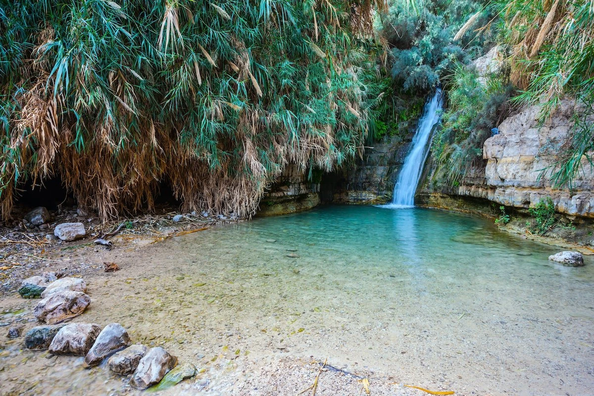 Ein Gedi